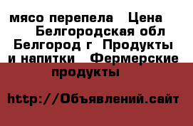 мясо перепела › Цена ­ 450 - Белгородская обл., Белгород г. Продукты и напитки » Фермерские продукты   